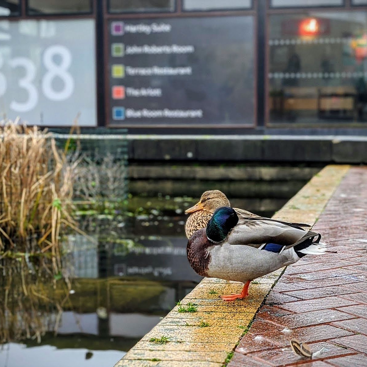 University of Southampton tweet media