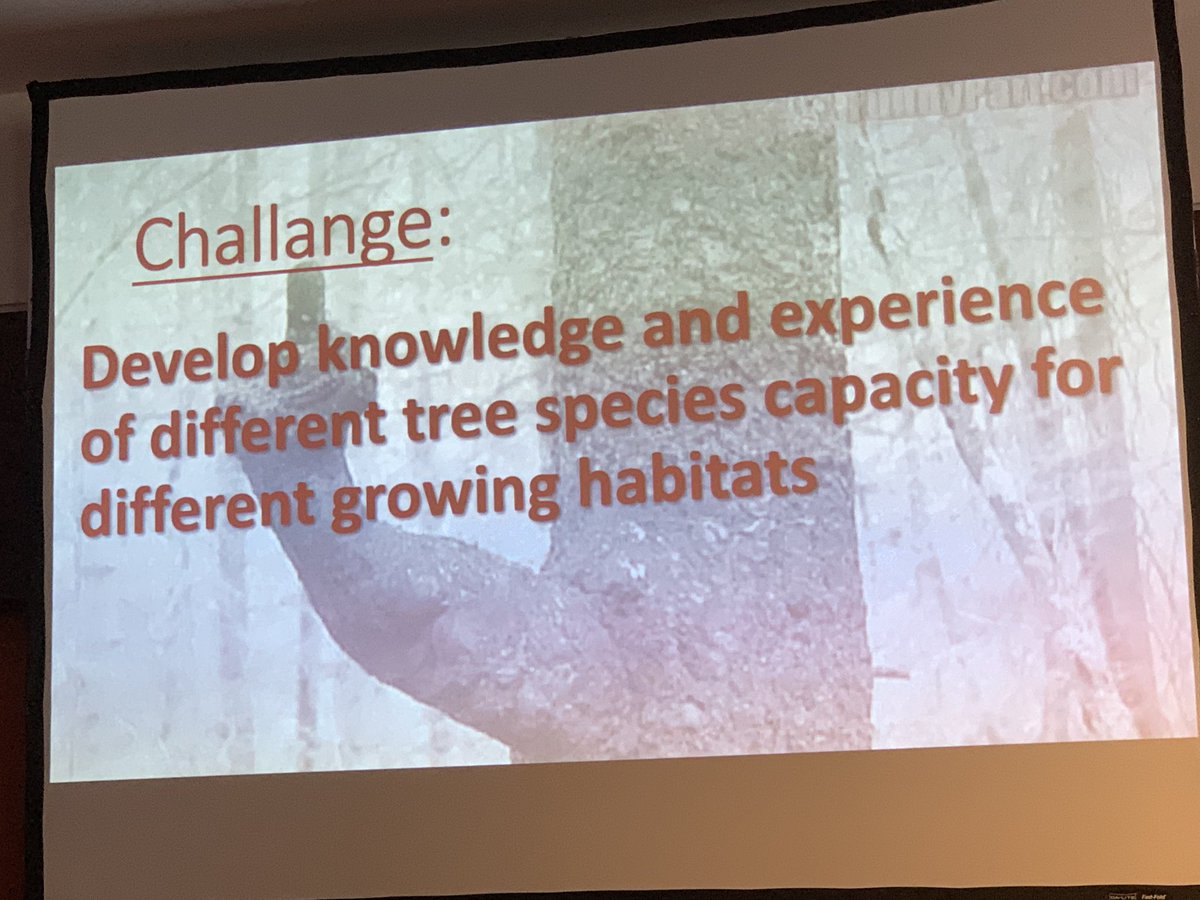 davies_white's tweet photo. @WyerJohn Trees of tomorrow #Palmsteadslw https://t.co/CsrlpOFUwG