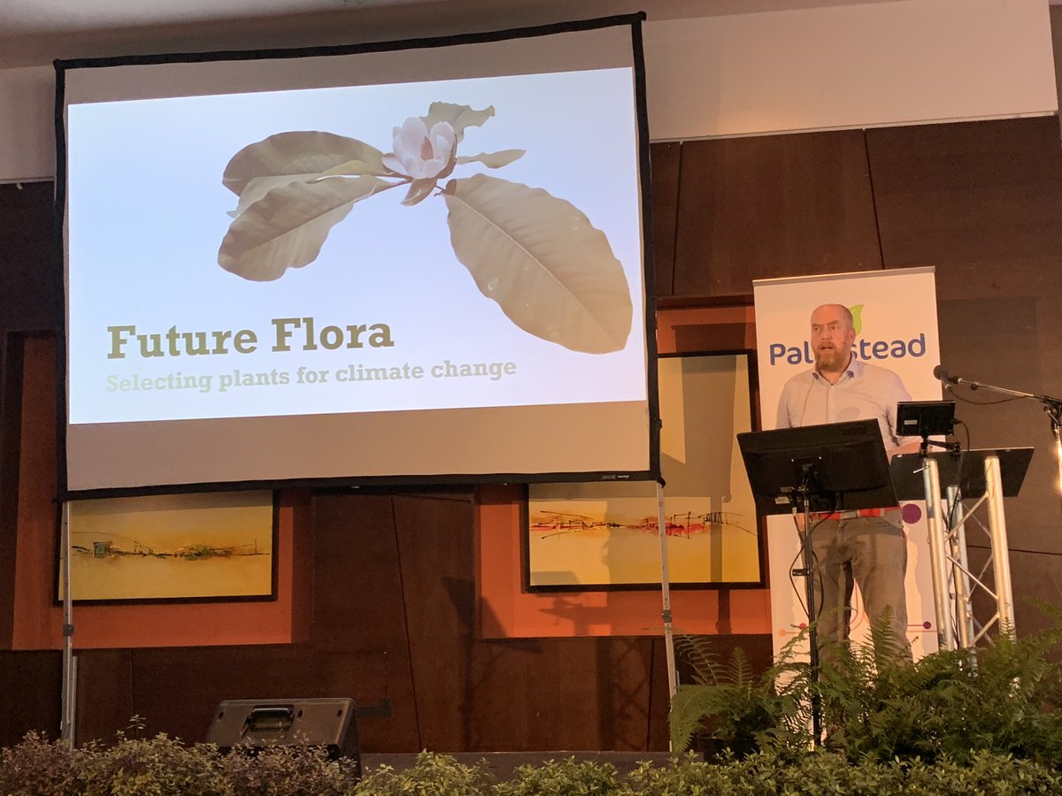 davies_white's tweet photo. @WyerJohn Trees of tomorrow #Palmsteadslw https://t.co/CsrlpOFUwG