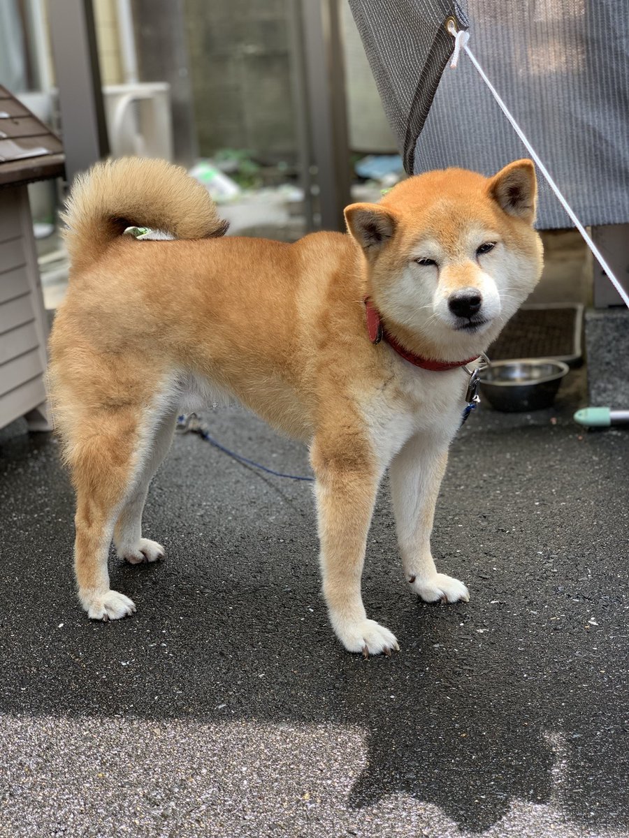 O Xrhsths School Of Lock Sto Twitter 運気アップ待ち受け 写真部の平手友梨奈 部長 が今年も部員から届いた写真を使って これをスマホの待ち受けにすれば運気が上がるかも な待ち受け画像を選んでくれました 学業運 を上げたい生徒はこの