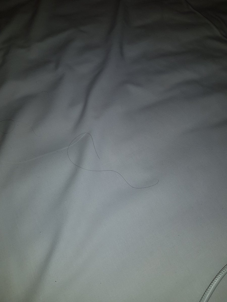 CatherineDevit3's tweet photo. @bookingcom I will continue to post until you do your job and get back to me. On both Twitter and Facebook. 

#nocustomerservice #dontusebookingcom https://t.co/ZE3Eb0qNEM
