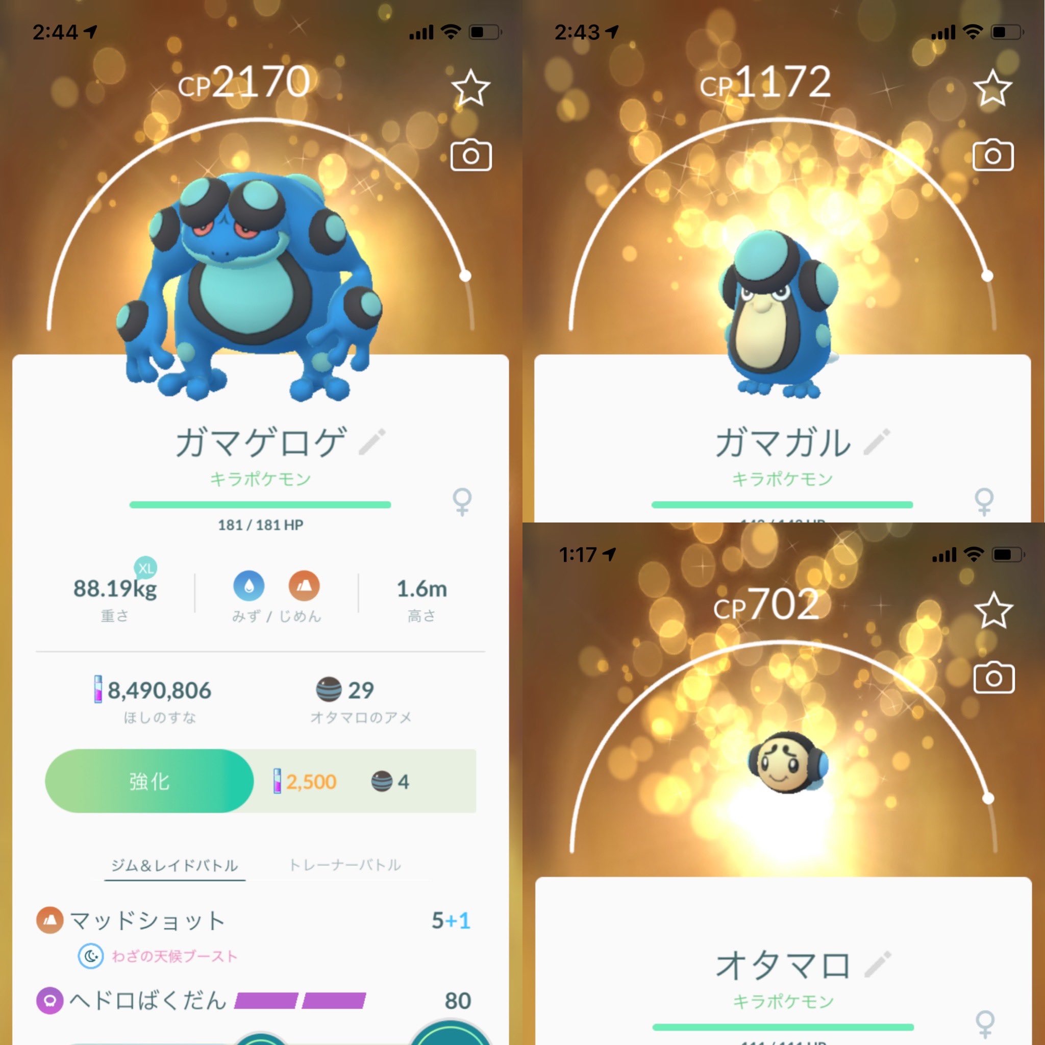 ガマガル Twitter Search Twitter