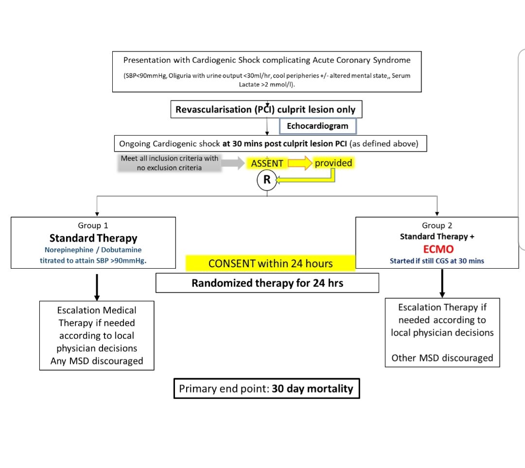 Tony Gershlick tweet media