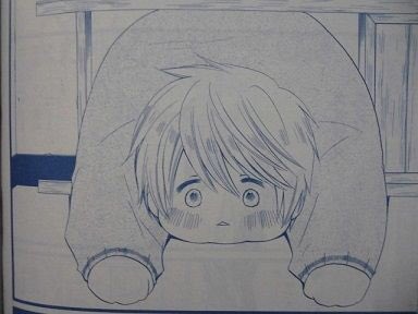 森のたくまさん 森のたくまさん