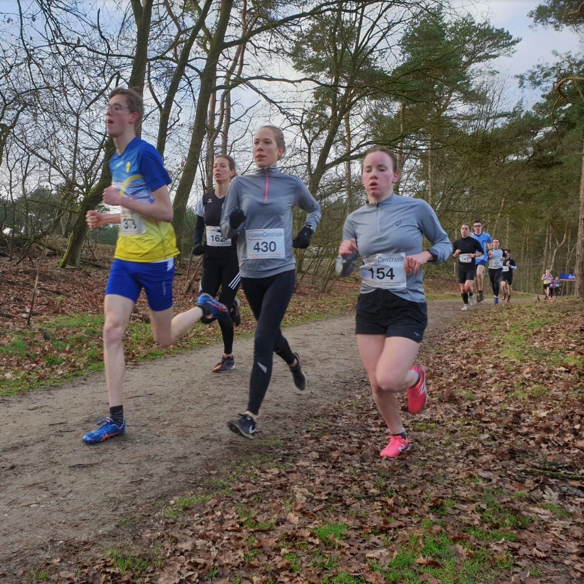 asterixatletiek's tweet photo. Last Sunday, multiple Asterix members went to three different cross country races. 
Three Gauls with outstanding performances tell you about their experience in the link below! #crosscountry #purplepride 💜
https://t.co/TPk4KxyvmX https://t.co/EvqqxOY4Jl