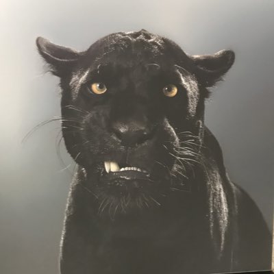 #NewProfilePic