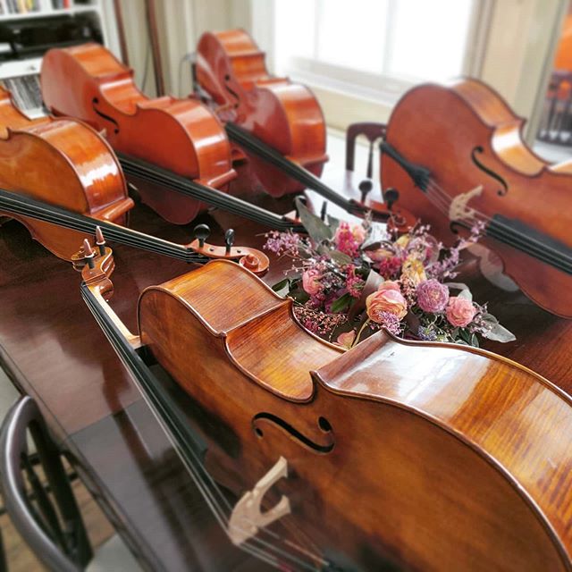 Cellos cellos cellos!
#cello