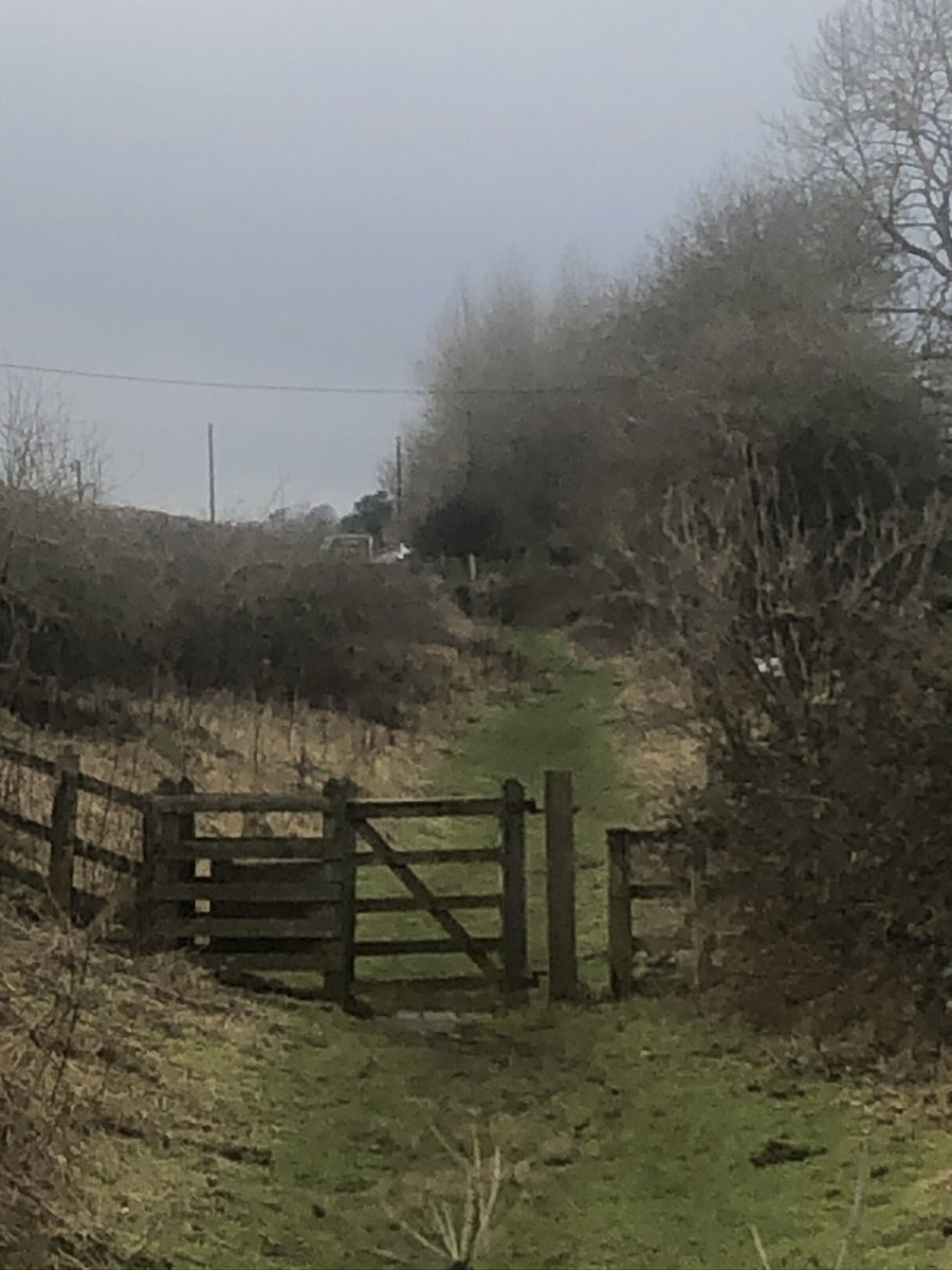 dew18willow's tweet photo. Returned to the trail today to attack the molehills in the North Ditch near the Robin Hood PH and put up a couple of Acorns on the fence free path.#HWPath #hadrianswall #nationaltrail https://t.co/eriQurVK7M