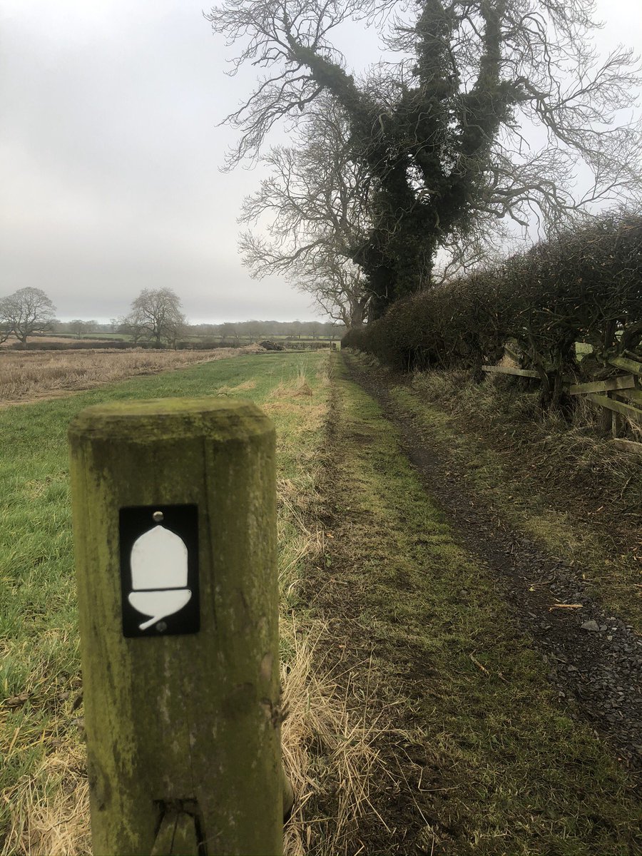 dew18willow's tweet photo. Returned to the trail today to attack the molehills in the North Ditch near the Robin Hood PH and put up a couple of Acorns on the fence free path.#HWPath #hadrianswall #nationaltrail https://t.co/eriQurVK7M