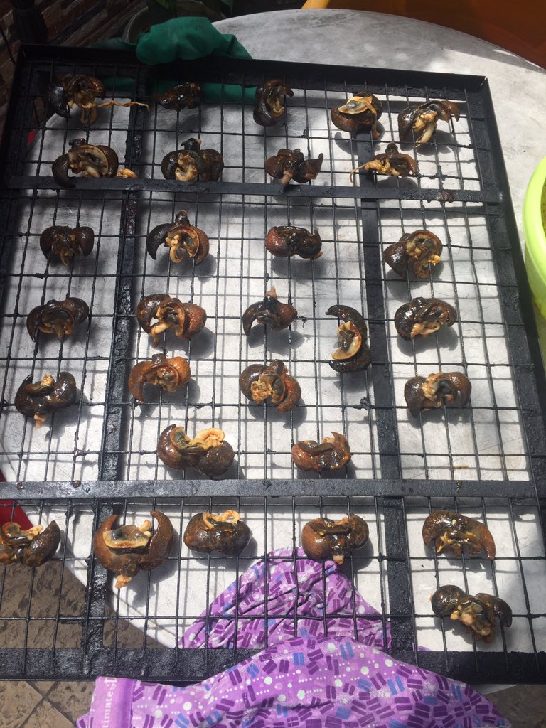 farmmarket_ng's tweet photo. 30pcs smoked snail=10k now at #OGFM-PHC 💨 https://t.co/gc8YrPJMTq