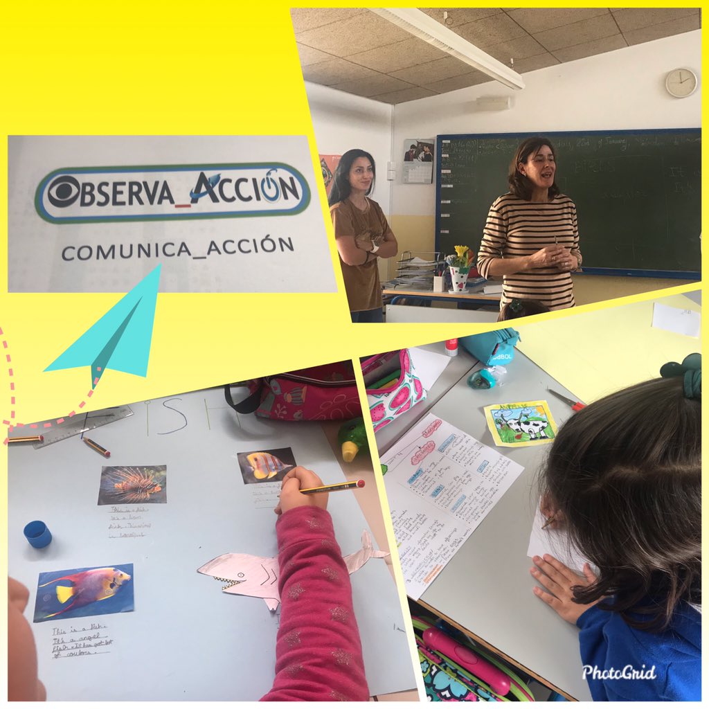 imcoterof's tweet photo. #Observa_Acción  con Elena Juárez de @ceipfpino ➕Cristina Sanz @crystychicken @CEIPRaimundo Aprendiendo en clase de #Science #English Vemos Proyectos y agrupamientos #comunica_acción #one2one #formaciónCyL   #innovaCyL #internacionalizaCyl @cfievalladolid @CFPIdiomas @educacyl https://t.co/GoKYi9FXM4
