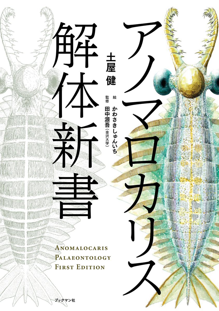 ①1年かかった...書籍として最新のアノマロ情報を盛り込んだ一般書『アノマロカリス解体新書』が2月12日より発売されます!僕はアノマロカリスやその近縁種たち等100点ほどの挿絵や表紙、スマホで遊べるアノマロARのデザインを手掛けました!Amazon予約はこちらから→ 