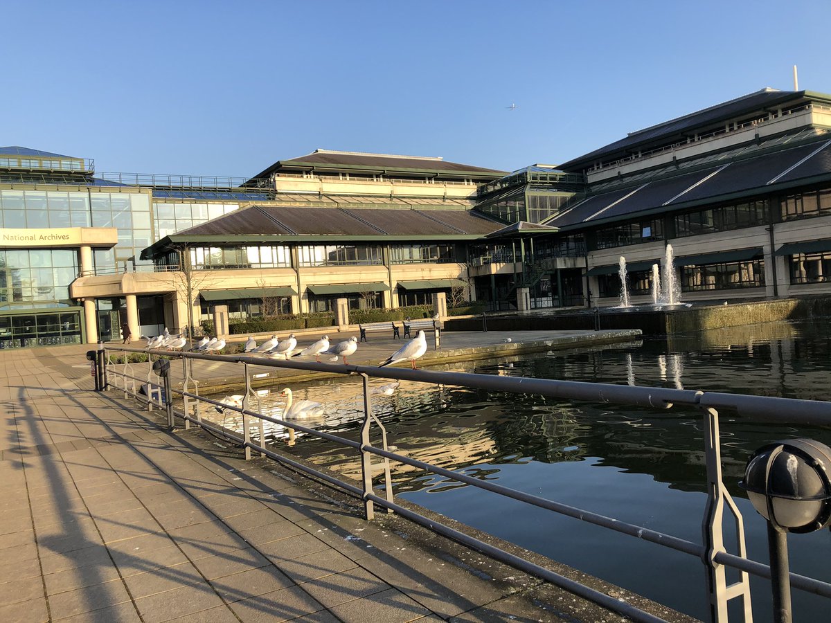 genejean's tweet photo. No better way to celebrate #OnePlaceWednesday than consulting MAF 32 National #Farm Survey @UkNatArchives for #Rillington and #Anwick #OnePlaceStudy with @ljjackson1958 #LocalHistory #FamilyHistory https://t.co/Krcl1Fpr50