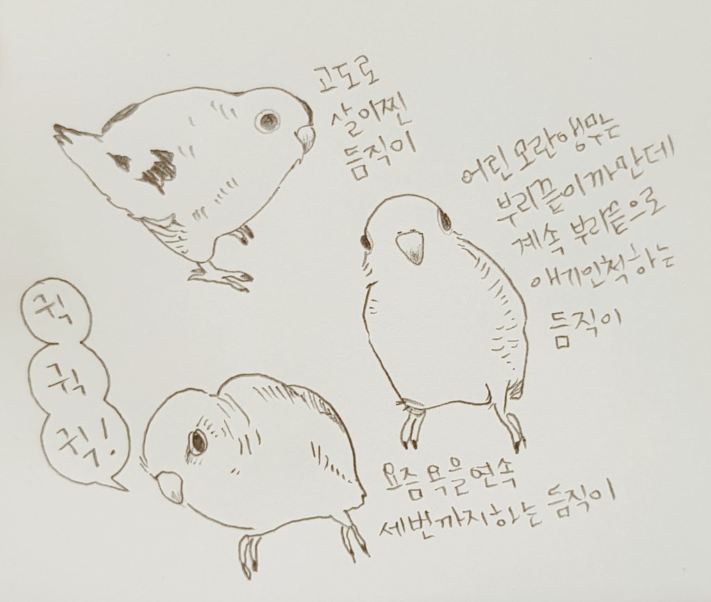 네번까지 늘어날지는 모르겠다.. 