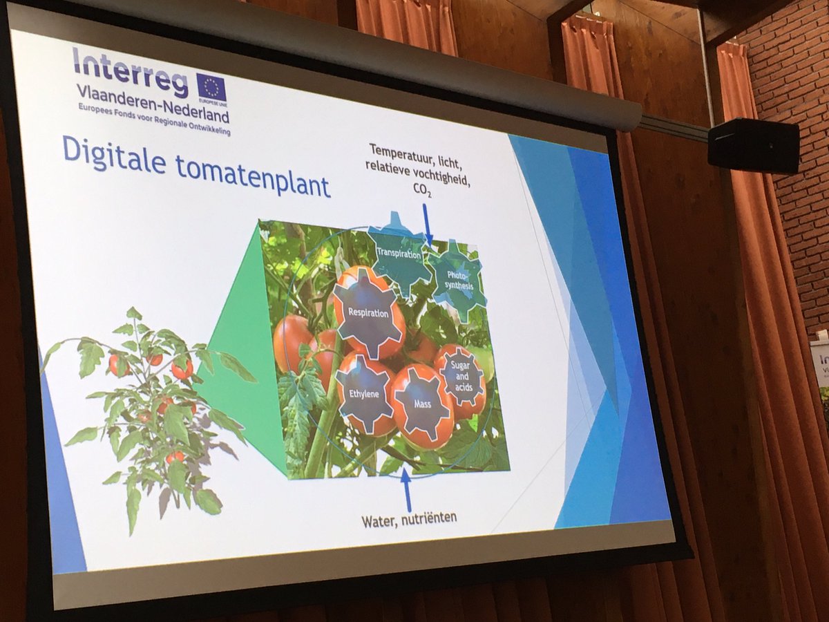 De digitale tomatenplant: met metingen van klimaat in serre en voedingsstoffen oogst voorspellen. Boeiend! <a href="/eu_projectGROW/">projectGROW!</a> <a href="/InterregVLANED/">Interreg Vlaanderen-Nederland</a>