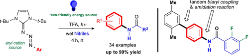 AsianJOrgChem's tweet photo. A strategy to produce #Anilides using (pi)-conjugated triazenes and nitriles reported by @bugarime @fgcu @utarlington https://t.co/tqGsMkgjOE https://t.co/yr6xk0AV5B