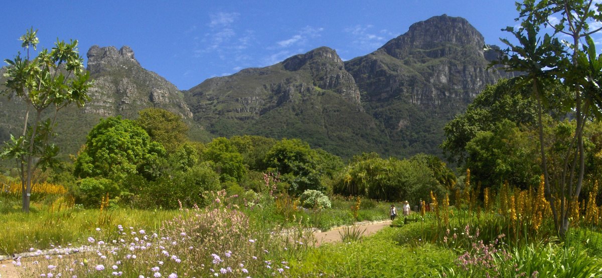 barrywills's tweet photo. #MEIOnline First calls for abstracts for Hi-Tech Metals '20 and Process Mineralogy '20 in Cape Town, immediately prior to #IMPC2020 #HiTechMetals20 #ProcessMineralogy20 @im_mining https://t.co/BzP7ceTMbO