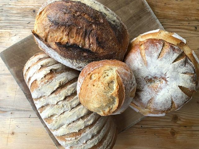 Marks_Bread's tweet photo. We have a different bread special everyday! #marksbread #bread #sourdough https://t.co/kn2NpYZik2 https://t.co/TMjHzMfbsA