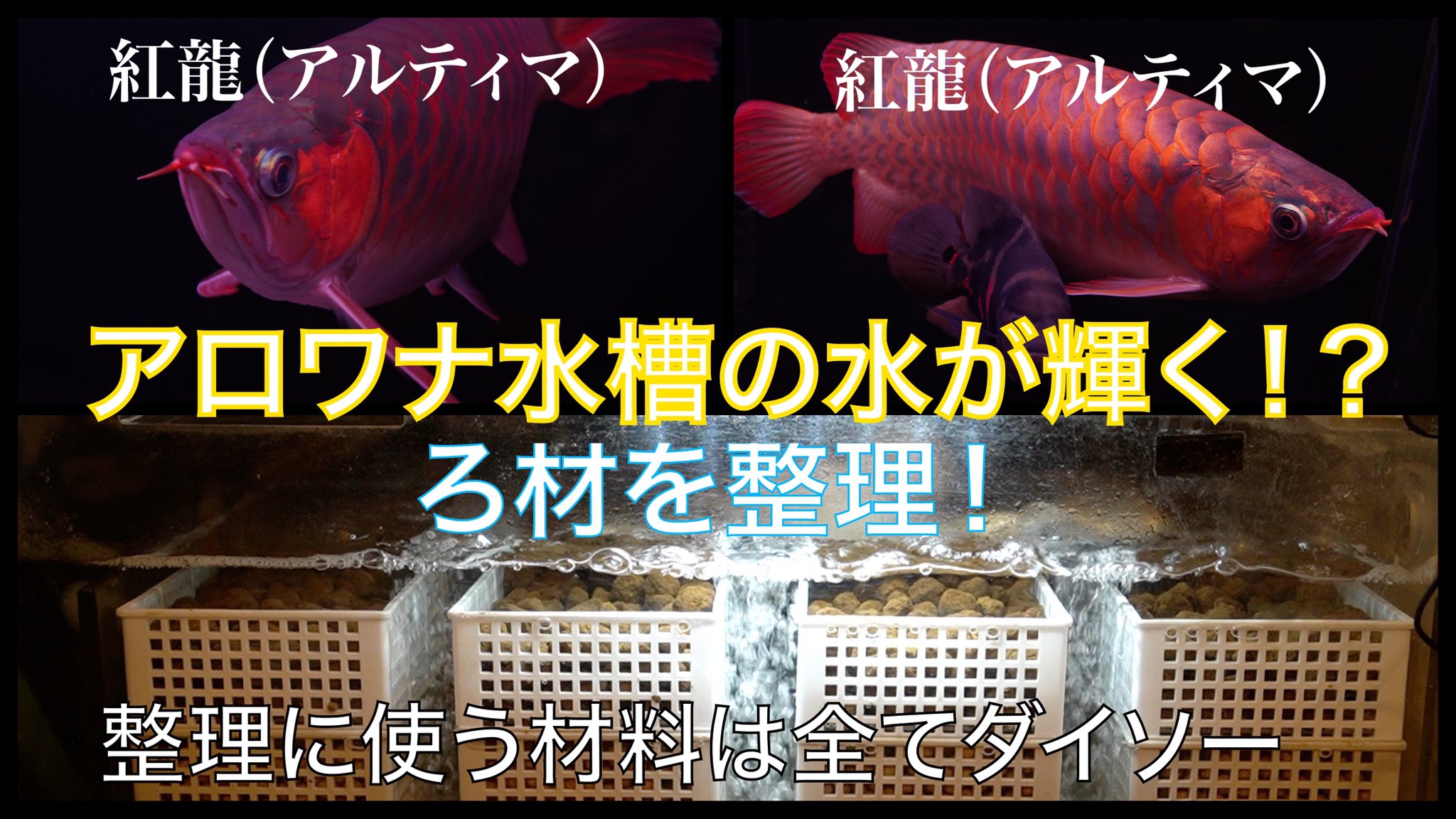 濾過槽 Twitter Search Twitter