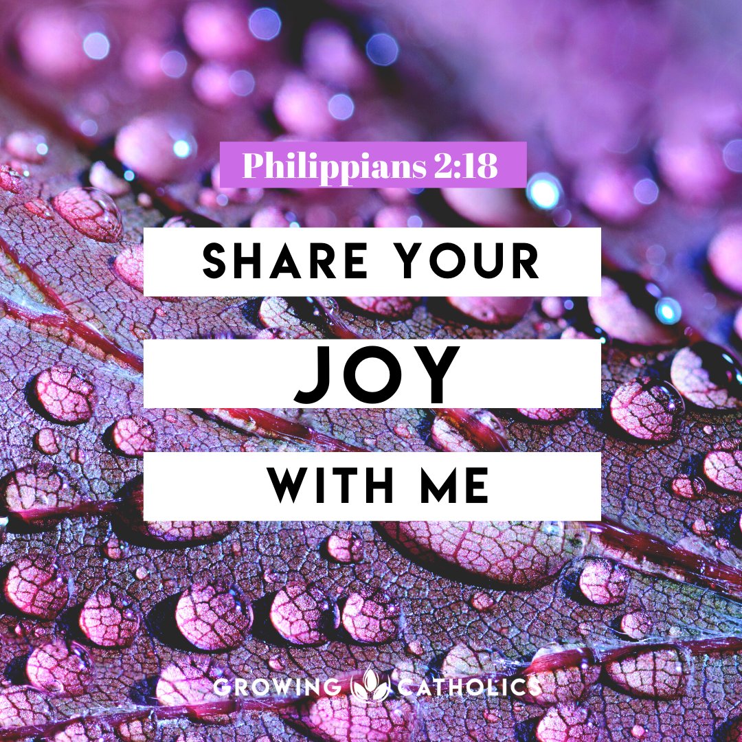 GCatholics's tweet photo. Joy - https://t.co/XkQs3Yorqx
#bible #scripture https://t.co/Iyweomc7P5
