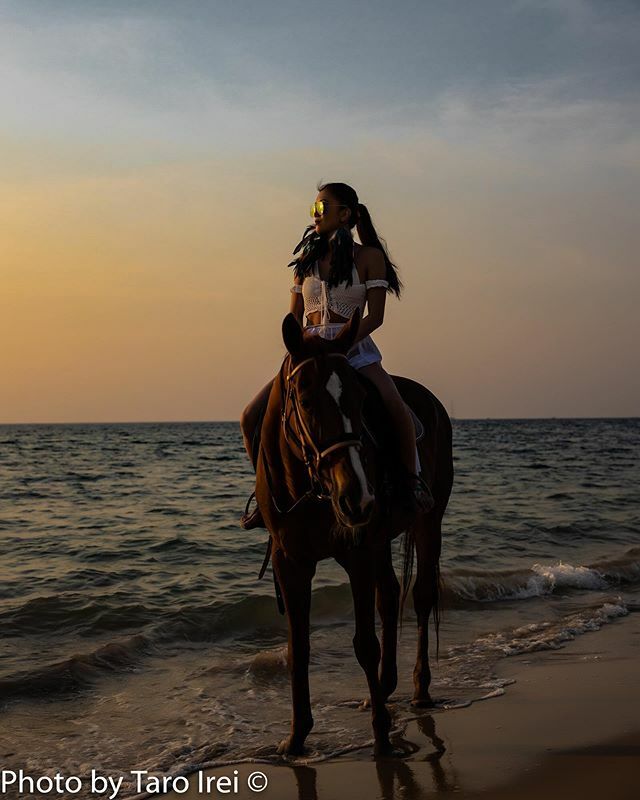 Taro_Irei's tweet photo. #sunsetride .
.
.
.
#horsebackriding #horsebackridingonthebeach https://t.co/ylpb2CnY5Q https://t.co/yUwhQLIhWk