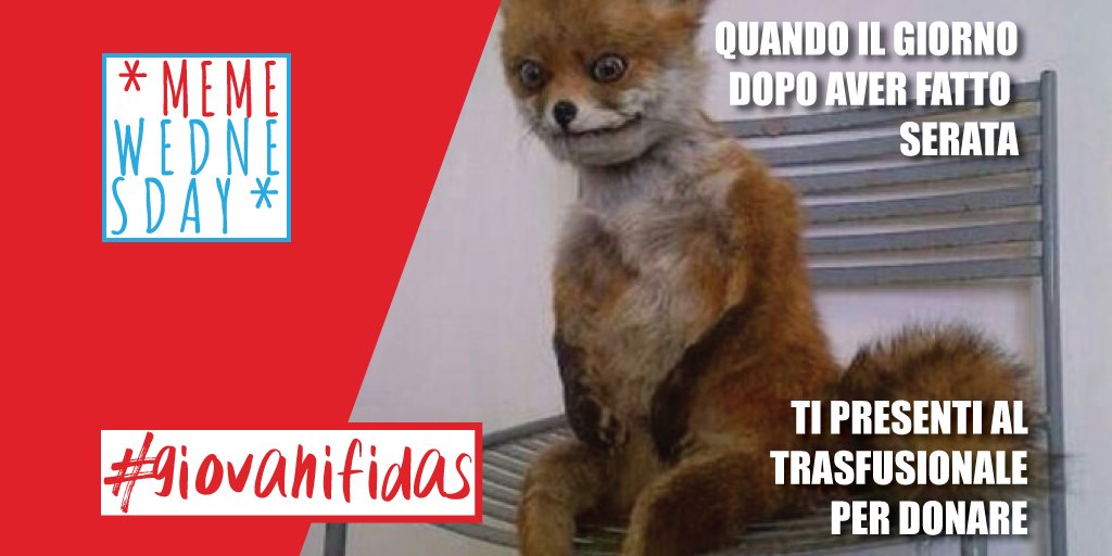 Meglio evitare serate impegnative il giorno prima della donazione 🍹🍔🥃🍕🍸🍟
Sui canali social dei #giovaniFIDAS torna il #memewednesday, la donazione è una cosa seria ma chi le vuole le persone TROPPO serie 😂