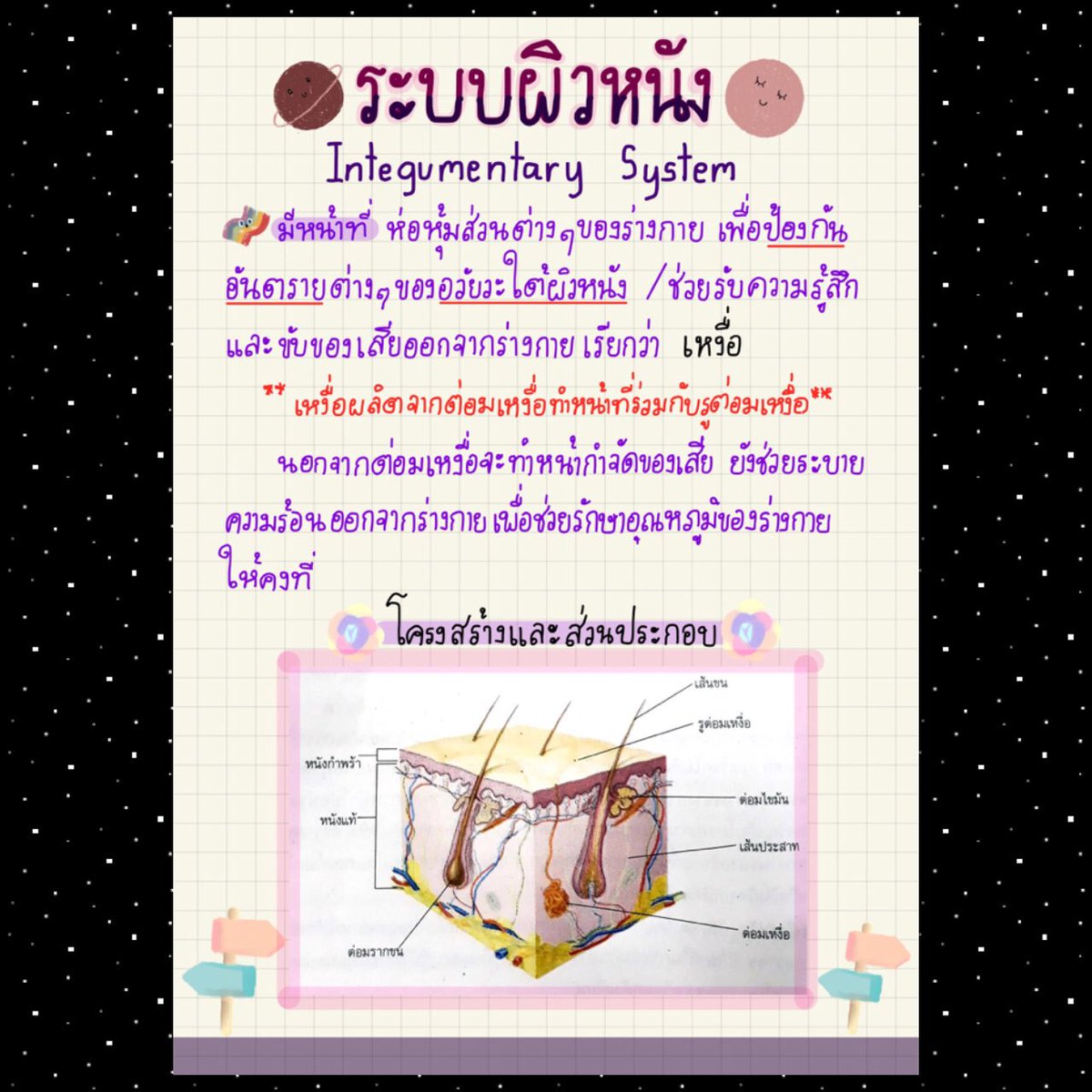 msmuse996's tweet photo. “ คนร้ายวางแผนมาดีมาก ใส่ถุงมือมิดชิดไม่มีรอยนิ้วมือ แต่เพราะมิดชิดนี่แหละคงร้อน ตอนขึ้นตู้เลยมีเหงื่อหยดลงมา ตร. ควานหาเหงื่อหยดนั้นจนเจอ ในเหงื่อจะมีเซลล์ผิวหนังติดมาด้วย ก็หาเซลล์ผิวหนังในนั้นไปตรวจหา dna เทียบกับผู้ต้องสงสัยอีกที ”

นิติวิทยาศาสตร์จงเจริญ !
#ปล้นร้านทองลพบุรี https://t.co/2d38WC2pBa