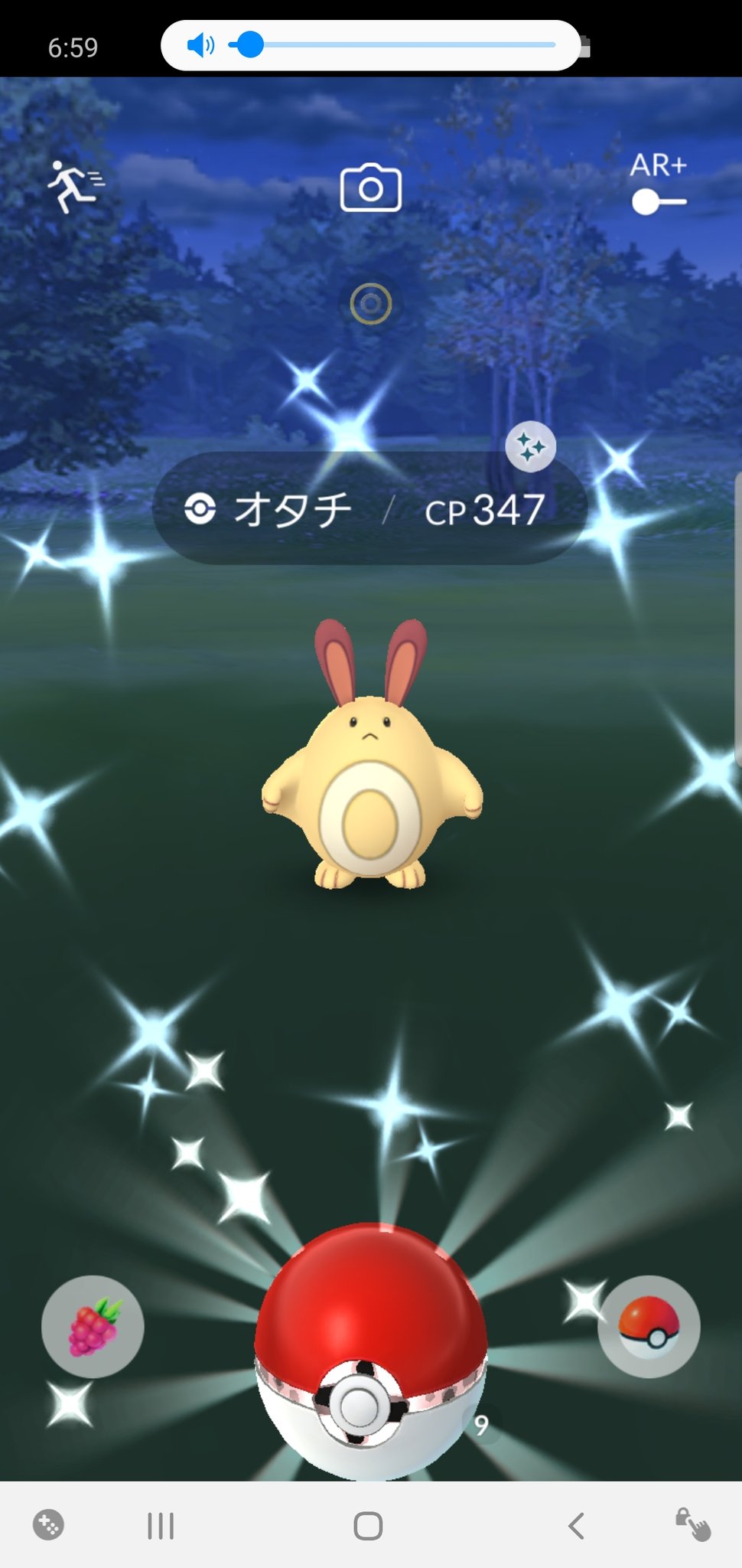 オタチ色違い Twitter Search Twitter