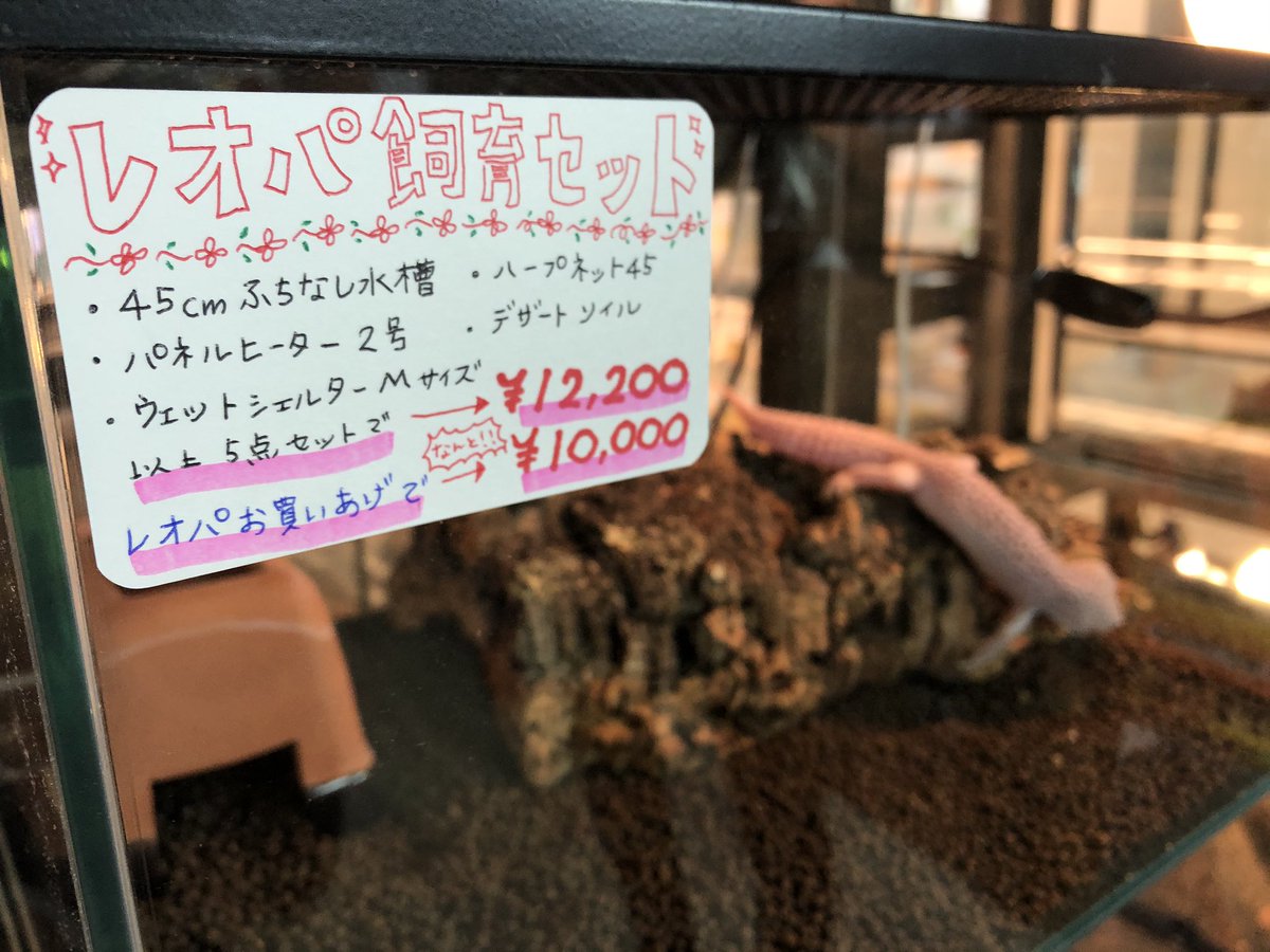 レオパ 飼育 セット