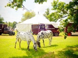 lovingcotswolds's tweet photo. In our '#101 reasons to love the #Cotswolds' feature we've brought together heaps of useful information on some wonderful places to visit, including @CotswoldWaterPk @birdland_ @giffordscircus  (and 98 more!)   https://t.co/BFgsfaPBzq https://t.co/OLW2zzosKL