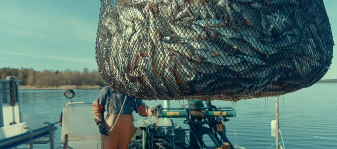 EUSBSR's tweet photo. New year, new diet - that is also Baltic Sea friendly?

Eating more fish🐟can help the sea as a Flagship project @NutriTradeEU proves with close cooperation with innovative entrepreneurs! 

Read more in our blog 👉 https://t.co/Bmbu6jFhqF

#CohesionThroughEUSBSR https://t.co/sYnjC9i1Ah