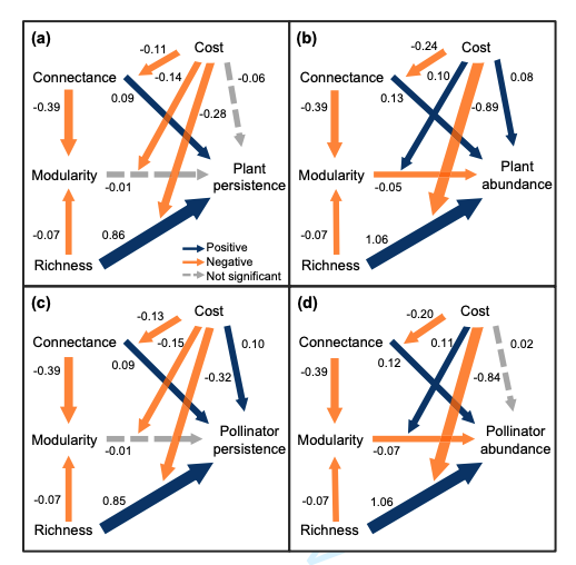 Oikos_Journal's tweet photo. Accepted: Peralta et al: No such thing as a free lunch: interaction costs and the structure and stability of mutualistic networks https://t.co/fyXqsjF7c4  @wileyecology @NordicOikos #resilience #plantpollinatorinteractions https://t.co/B7T6Q8ul5v