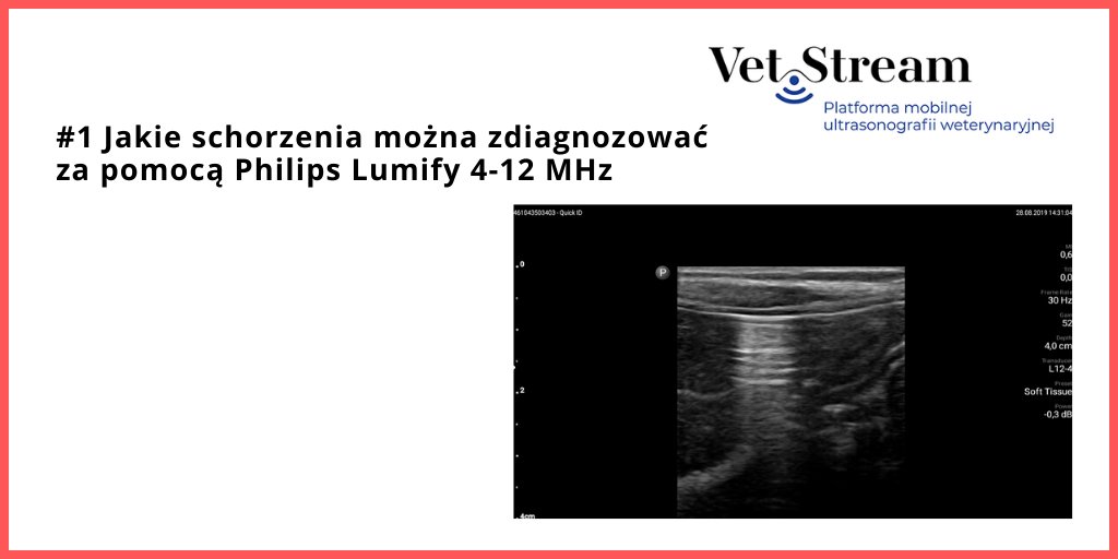 vetstream_pl's tweet photo. Z #Philips Lumify 4-12 MHz , została zdiagnozowana u zwierząt: niedrożność jelit, wolny płyn w jamie otrzewnej, obecność wolnego gazu w jamie otrzewnej, kamica pęcherza moczowego u psa oraz niedrożność cewki moczowej u kota.

Zamów: bok@infostream.pl https://t.co/XJlZiLLFvS
