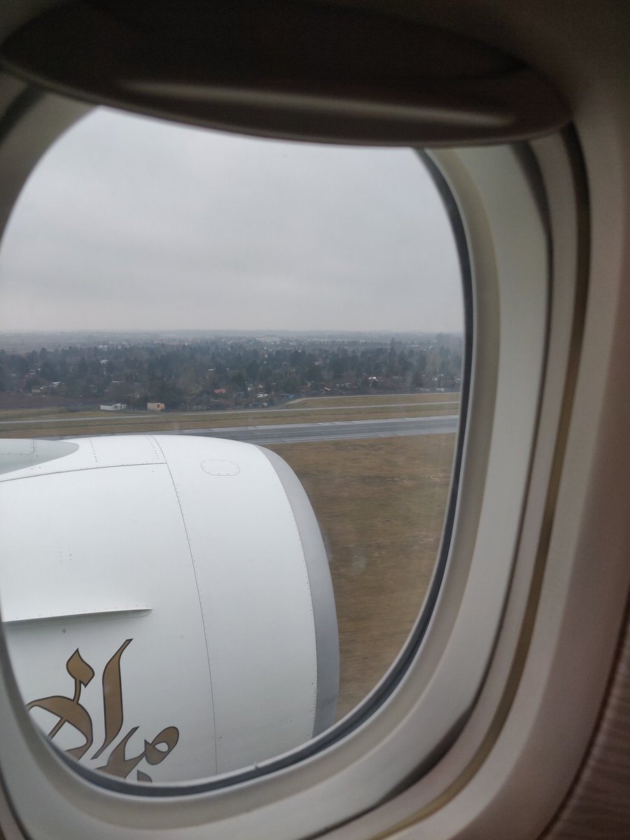 Gonçalo Palma tweet media