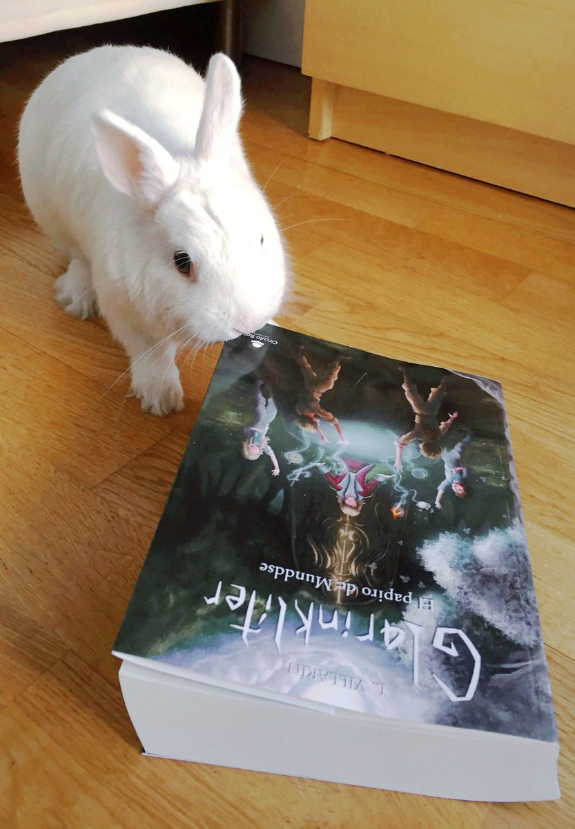 nerlopvil's tweet photo. Cuando vas a ver cómo está tu conejito y te lo encuentras inmerso en la lectura de @glarinkliter ❤️ está enganchadisimo! me pregunta si en el segundo libro puedo salir el también en el desfile 😂😂 @LVillarin_ https://t.co/4AnNwMODfA