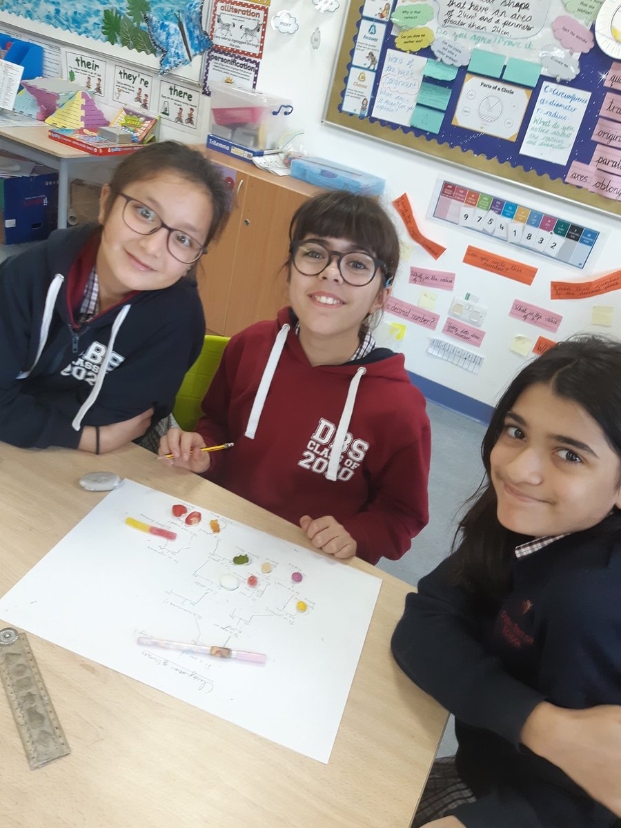 DBS_PrimScience tweet media