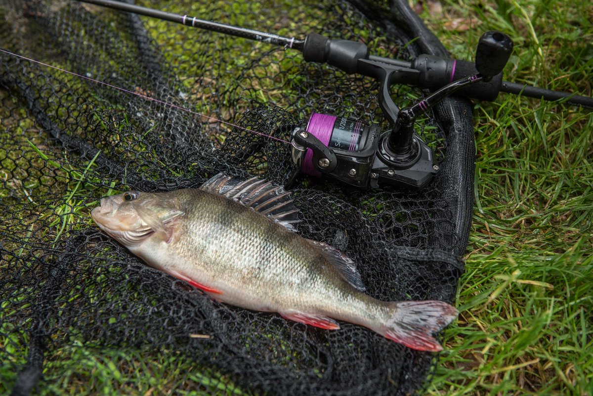 We know you lovely people think carp fishing 24/7 but if you’re mind wanders and you fancy a quick hit for other species, check out out Agitator range of lure and predator kit, fresh for the 19/20 season
>> wychwoodcarp.co.uk/products/agita…