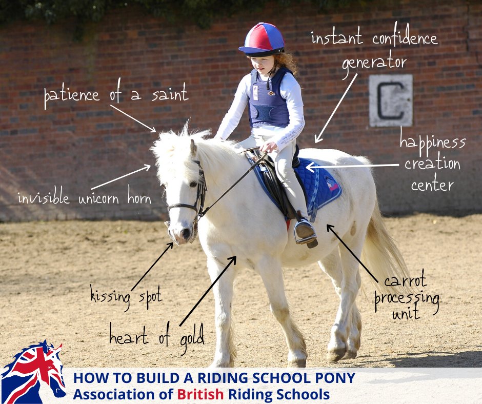 🐴 BUILDING A RIDING SCHOOL PONY 🦄 We think you'll all agree that riding school ponies are a unique breed that have to be created with a sprinkling of magic.💫 What else would you add to the recipe? bit.ly/2QgSxNn #ABRS