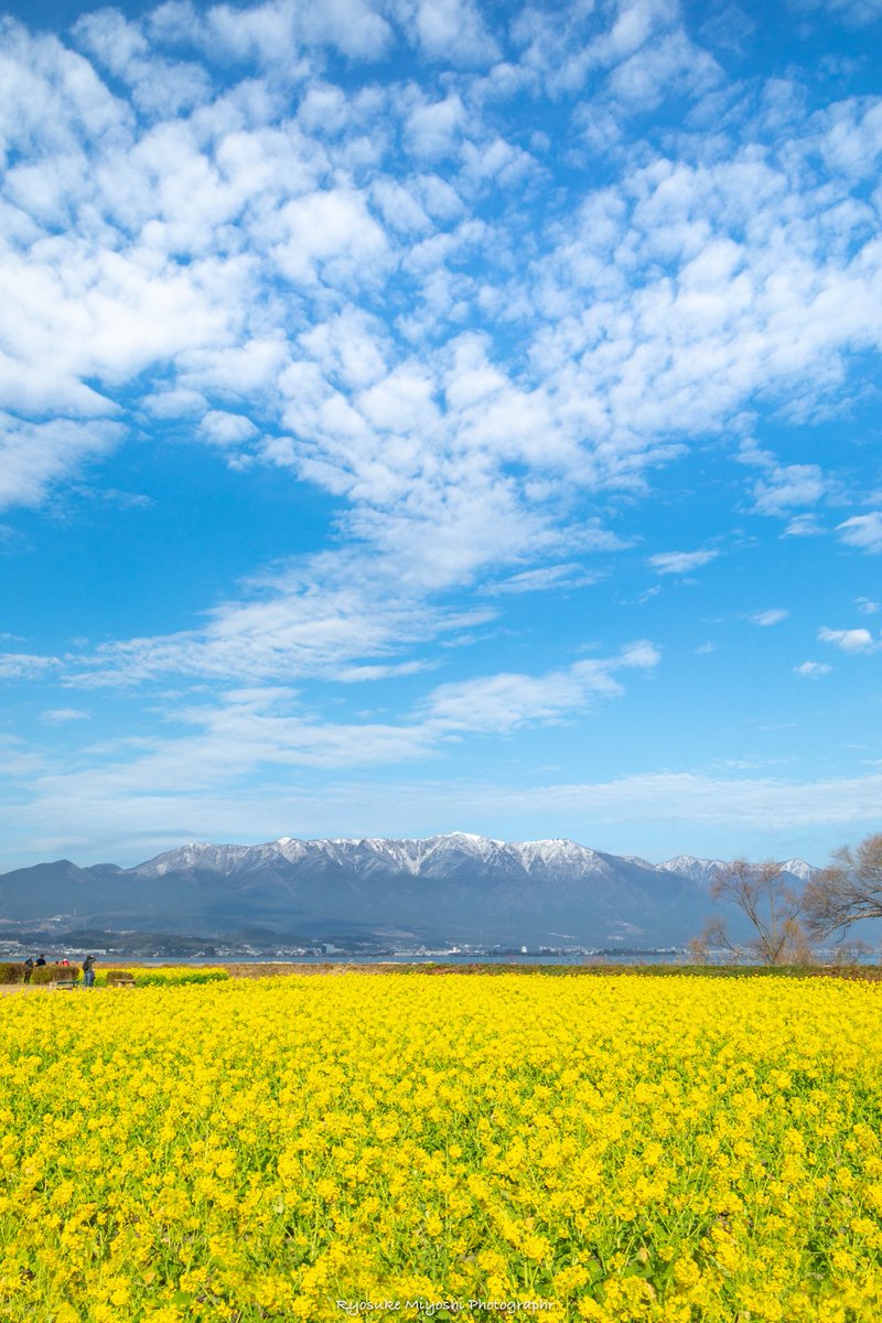 守山第一なぎさ公園 Twitter Search
