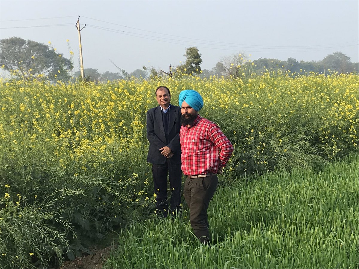 Farming Leader tweet media