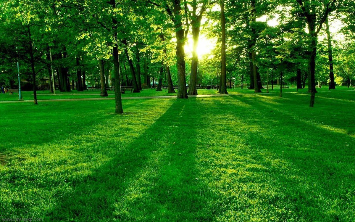 prithvilandpro's tweet photo. #nature #naplots #beauty #Breaktheroutine #Prithvilandproject https://t.co/KxL2sDq6eL
