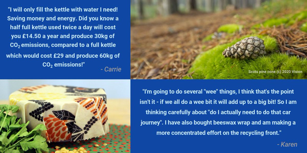 cairngormsnews's tweet photo. 2020 #GreenCommitments from Staff at the #CNPA
If we were all to do a wee bit it would add up to a big bit!
#Savewater #Saveenergy #beeswax #netzero #Scotland https://t.co/gQ5hMKtUNg