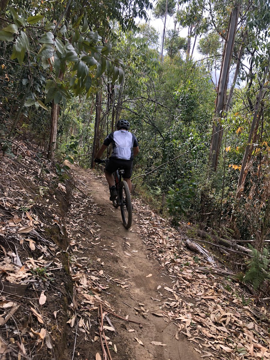 Get back to basics. Book a fundamental Skills Clinic class this Sat 25 Jan @delvera #mountainbiking to get more confidence on your #mountainbike 
Pay deposit to confirm - info on our website.
