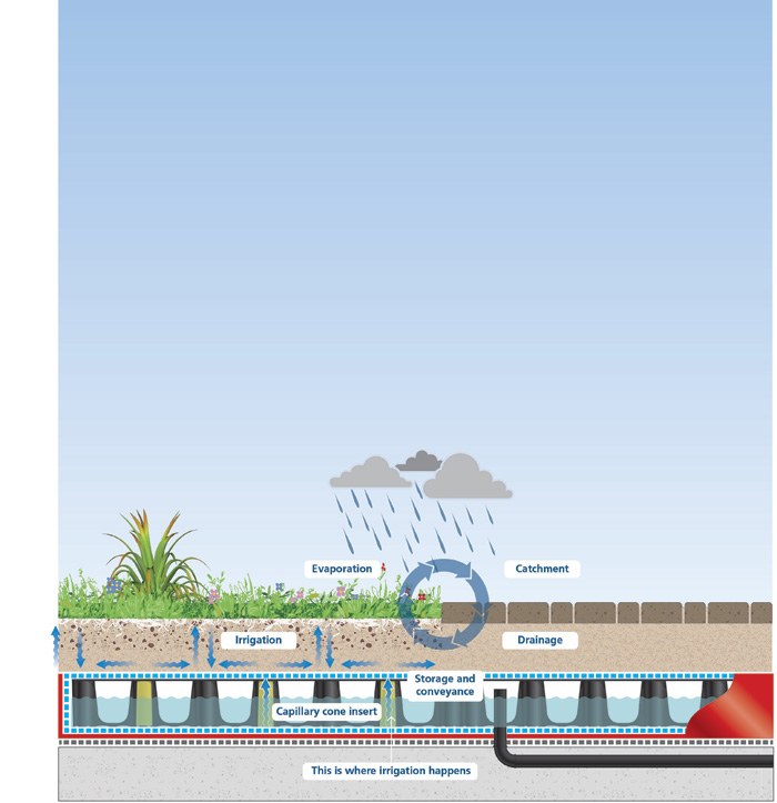 iAgua's tweet image. ¿Cómo podemos diseñar eficientemente nuestros entornos urbanos para crear espacio para el #agua? 🤔

Descúbrelo en este reportaje de @Polypipe_Int publicado en #iAguaMagazine 25 ⤵️
iagua.es/noticias/polyp…