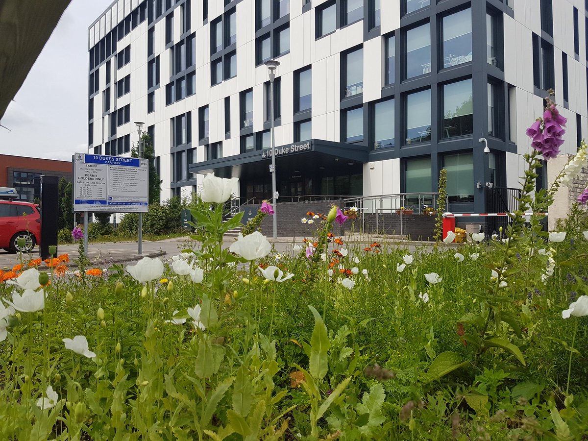 The 70 Britain in Bloom finalists have been announced! 🌻
This year there's a strong focus on urban greening 🌱🌇🌱 #RHS #BritaininBloom

Read more: 
rhs.org.uk/press/releases…