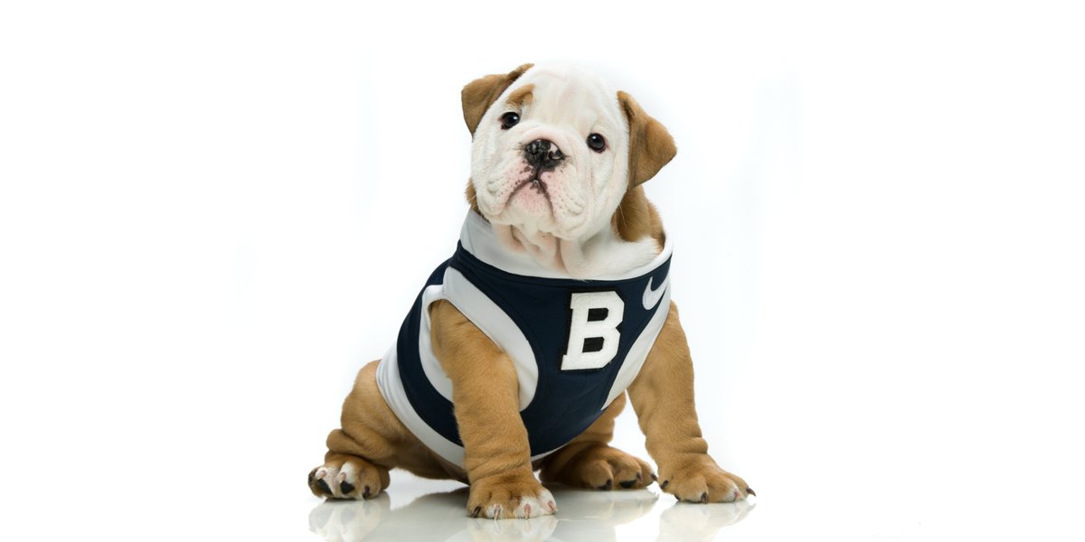 Hi Bulldogs, I’m Blue, your new mascot-in-training! I am a 12-week-old male English bulldog, and I’m proud to be your next Butler Bulldog! stories.butler.edu/BlueDebut