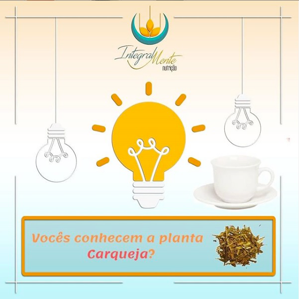 Nutpauladuarte's tweet photo. O chá dessa planta é preparado por infusão em água e sua concentração depende do benefício que se deseja obter da bebida. Portanto, busque um nutricionista que te auxilie nessa escolha.
#DicaDaNutri #ficaadica #Carqueja #Cha #Integralmente https://t.co/XdeGt5PHmb