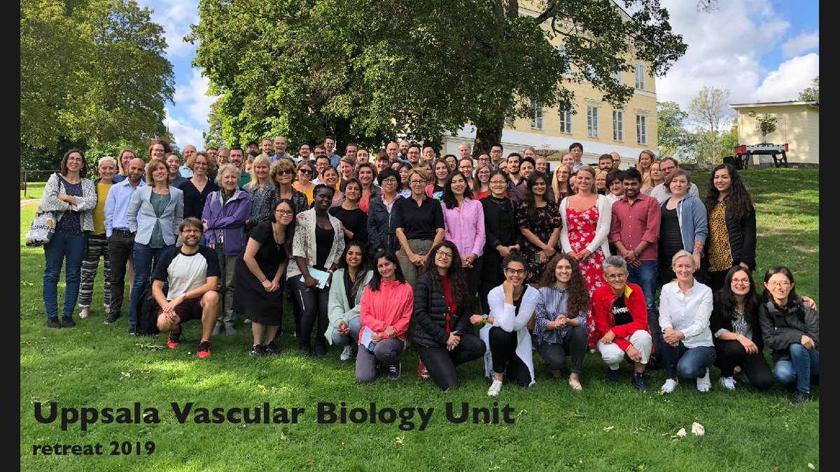 VascBioUpp's tweet image. Uppsala Vascular Biology Unit - Who are we? - Eight labs working closely together to expand the knowledge of blood and lymphatic vessels in health and disease. #bloodvessels #lymphatics #endothelialcells #vascbio #devbio #disease