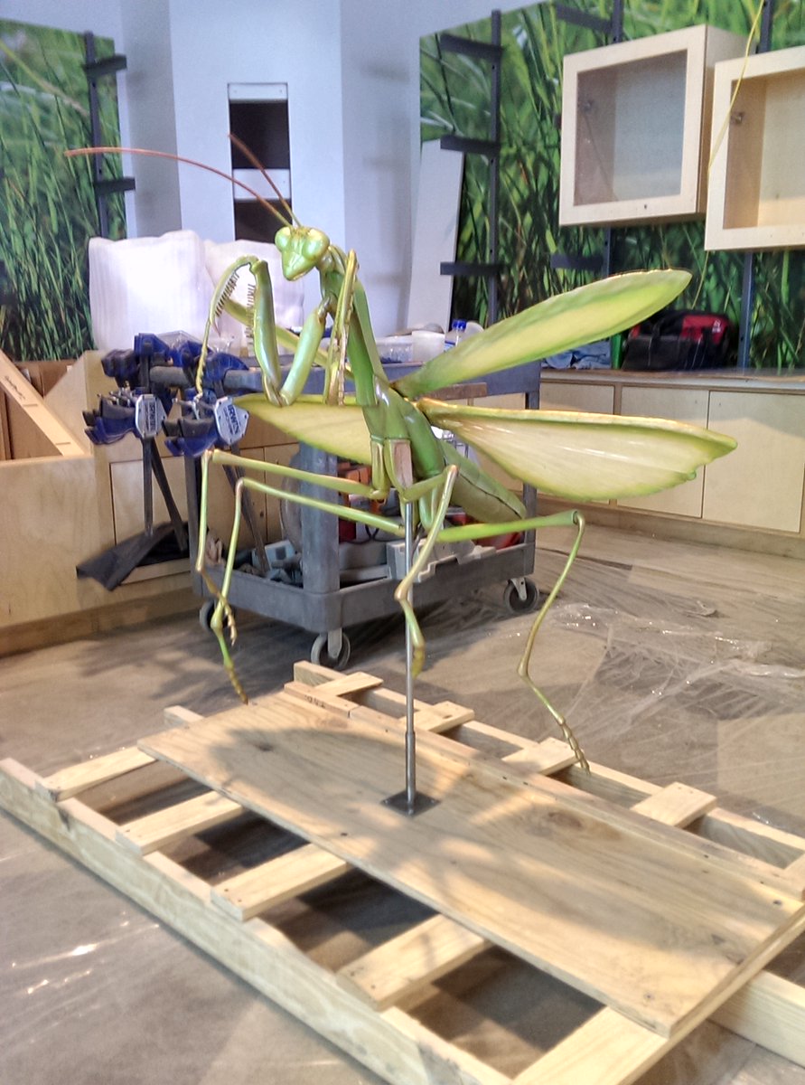 ResearchCasting's tweet photo. Aren't you glad they aren't this size in real life?🦗 Check out this  huge #prayingmantis sculpture for the Museum at Prairefire.
.
.
.
@museumatPF #insects #artsculptures #rescast https://t.co/tsOwB4d48r