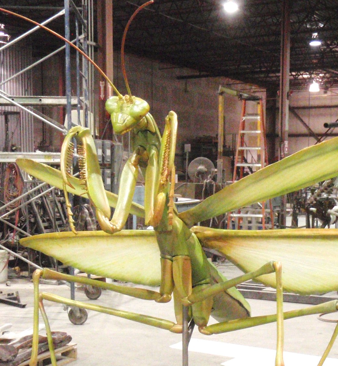 ResearchCasting's tweet photo. Aren't you glad they aren't this size in real life?🦗 Check out this  huge #prayingmantis sculpture for the Museum at Prairefire.
.
.
.
@museumatPF #insects #artsculptures #rescast https://t.co/tsOwB4d48r